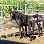 StarFire September 2020