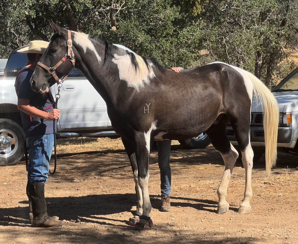 Reuben standing next to Dude