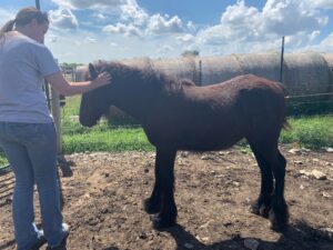 tyche-20220827-02