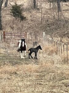 tyche-first-turnout-2022-03-05-02