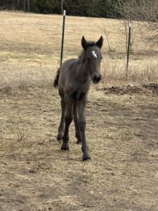 tyche-first-turnout-2022-03-05-03