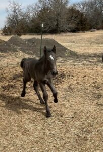 tyche-first-turnout-2022-03-05-04