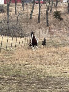 tyche-first-turnout-2022-03-05-05