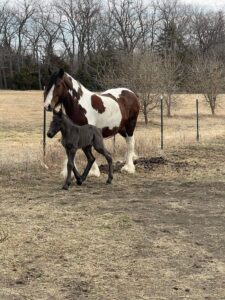 tyche-first-turnout-2022-03-05-06