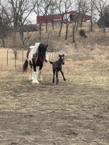 tyche-first-turnout-2022-03-05-07